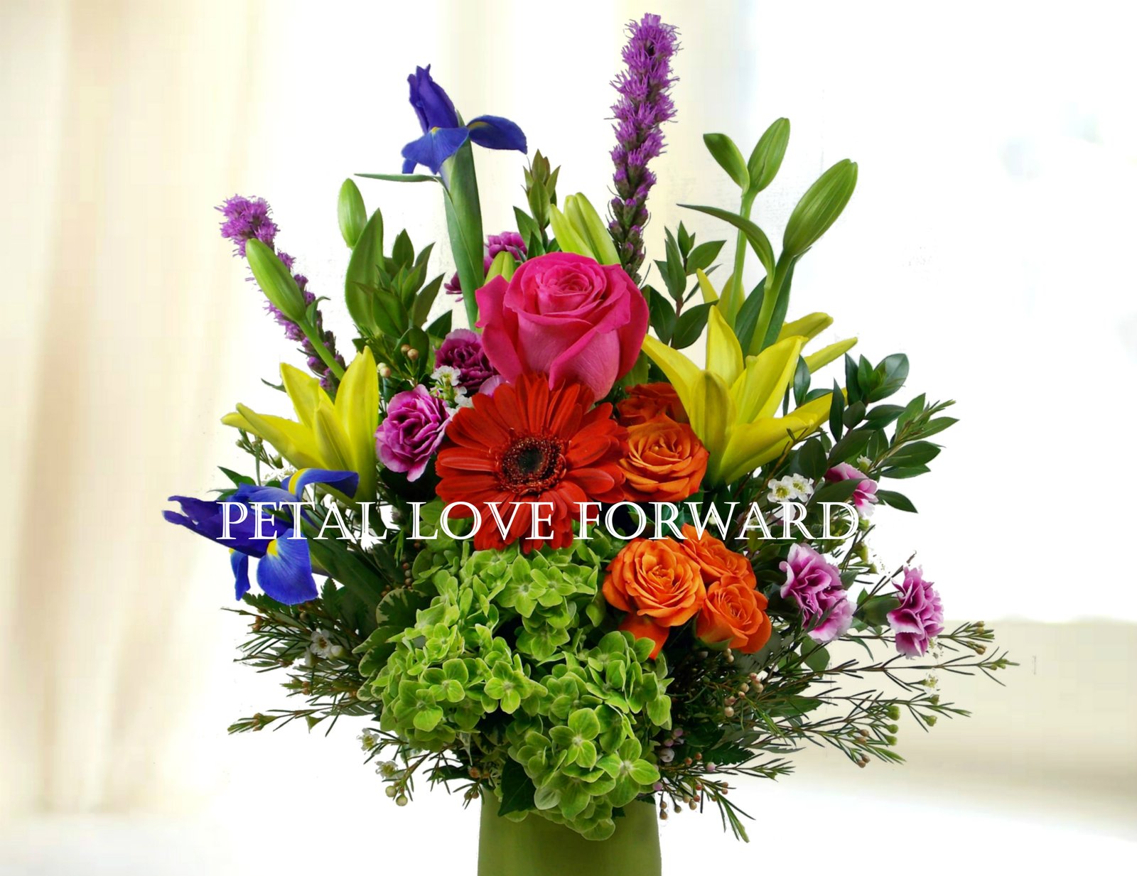 indianapolis florist - flower delivery by steve's flowers and gifts